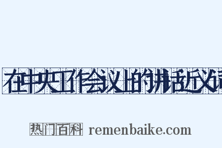 在中央工作会议上的讲话近义词是什么意思的图片
